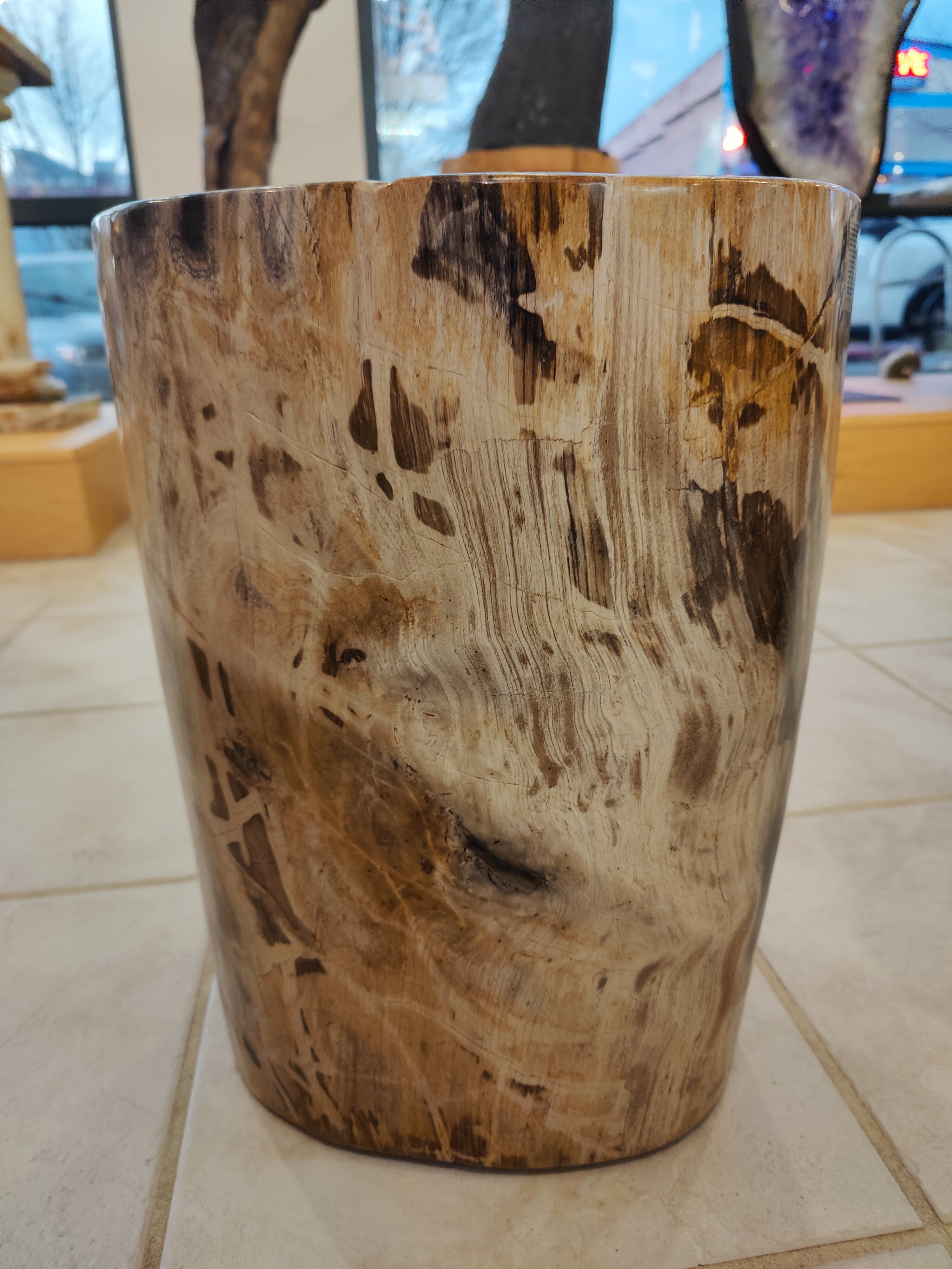 Petrified Wood Pedestal by Rare Earth Gallery