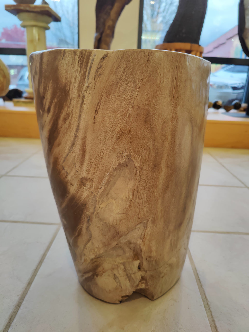 Petrified Wood Pedestal by Rare Earth Gallery
