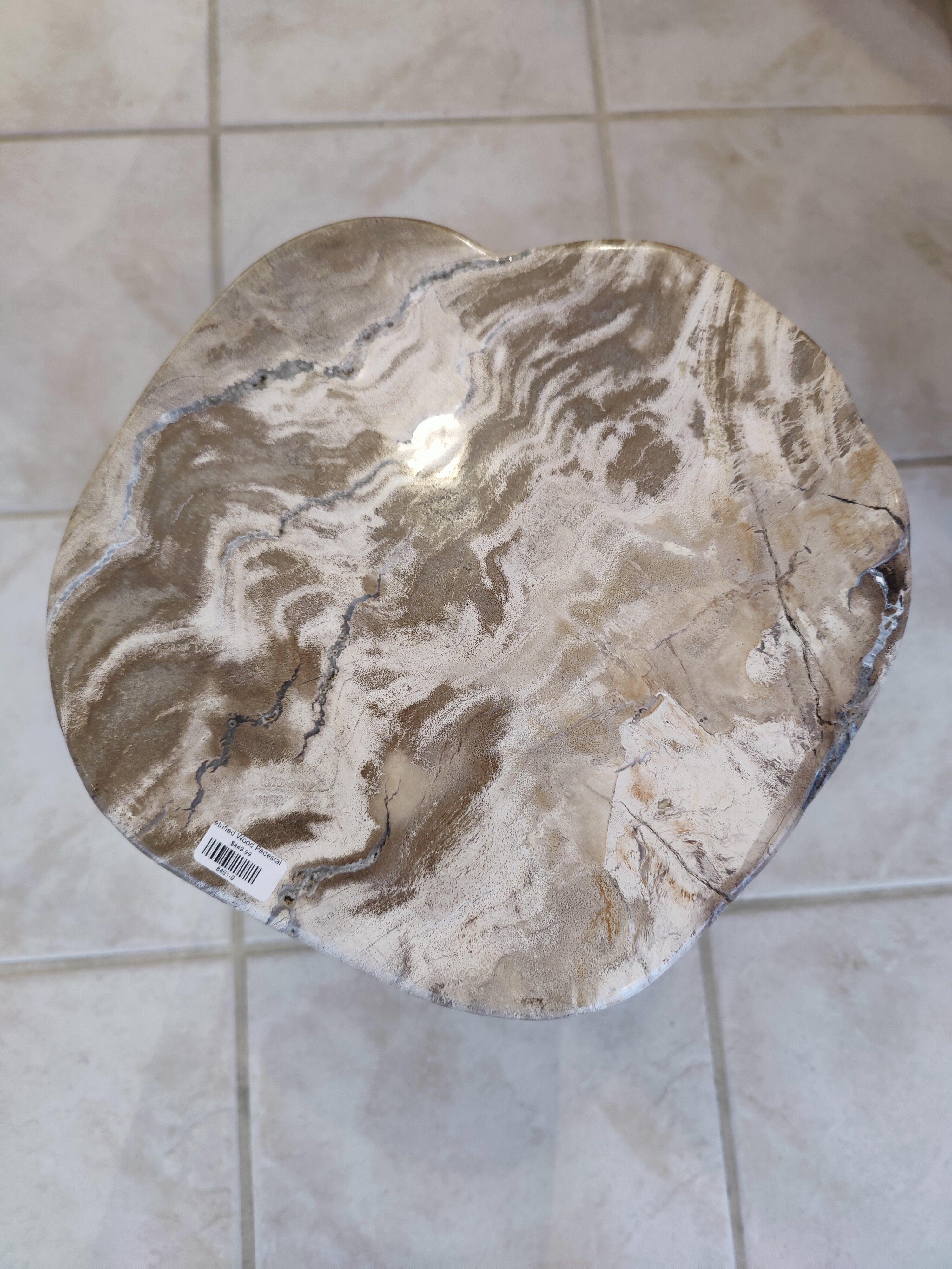 Petrified Wood Pedestal by Rare Earth Gallery