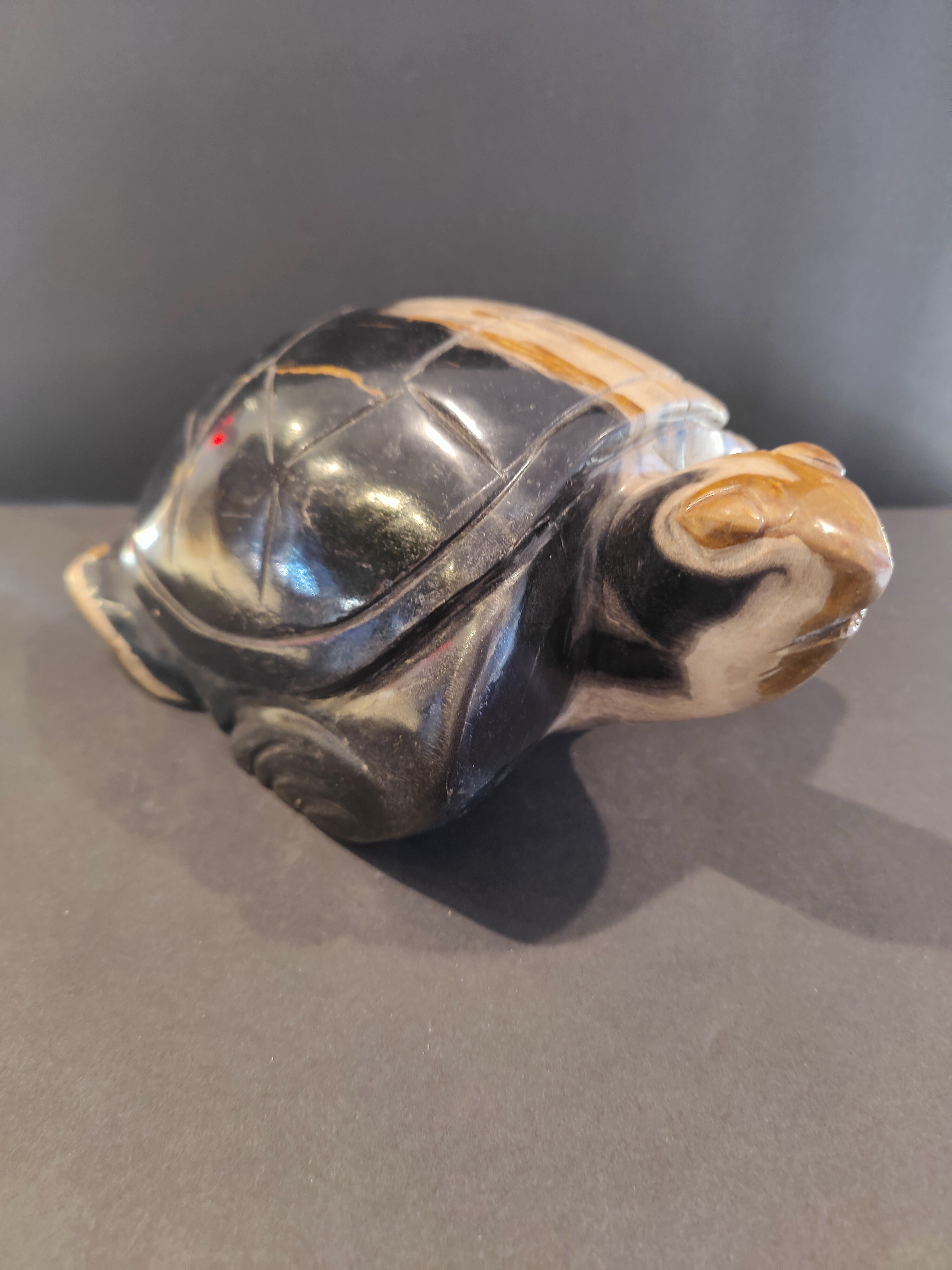 Petrified Wood Turtle Sculpture by Rare Earth Gallery