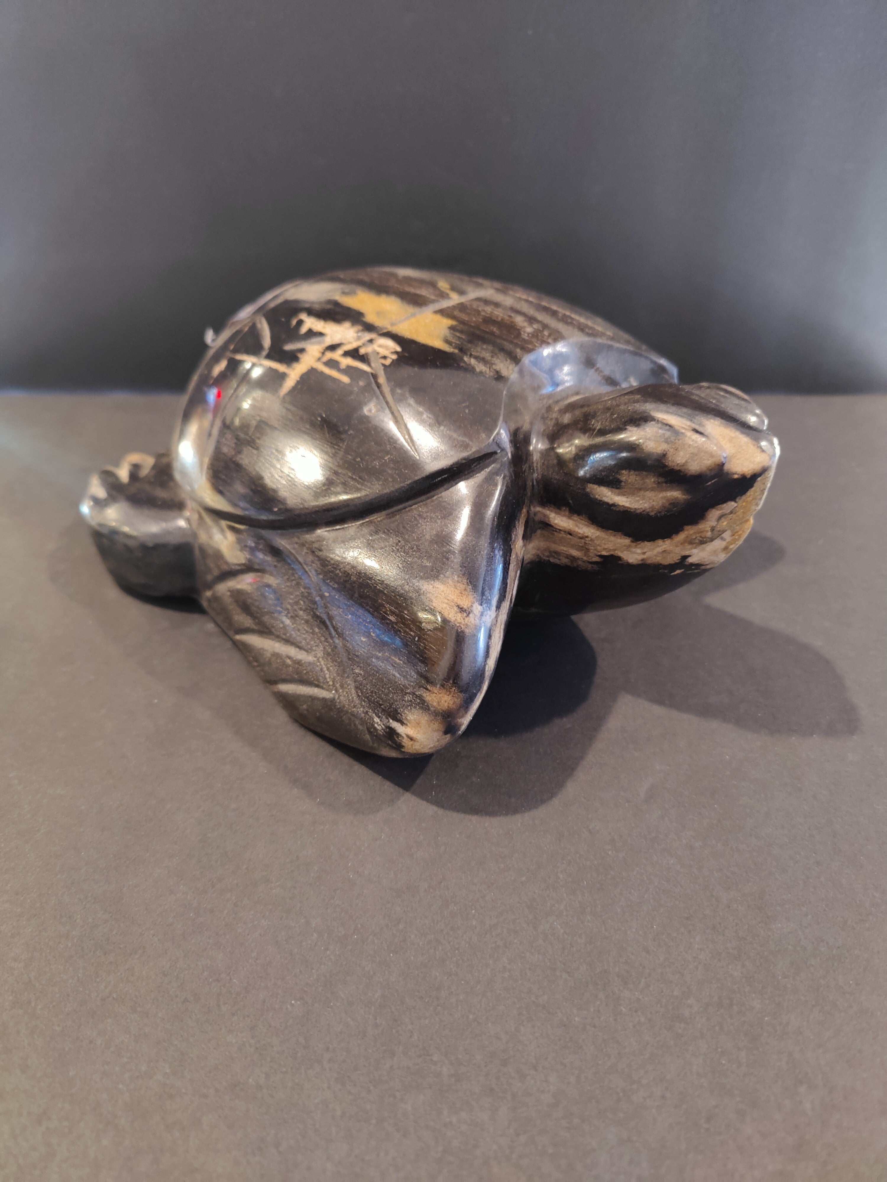 Petrified Wood Turtle Sculpture by Rare Earth Gallery