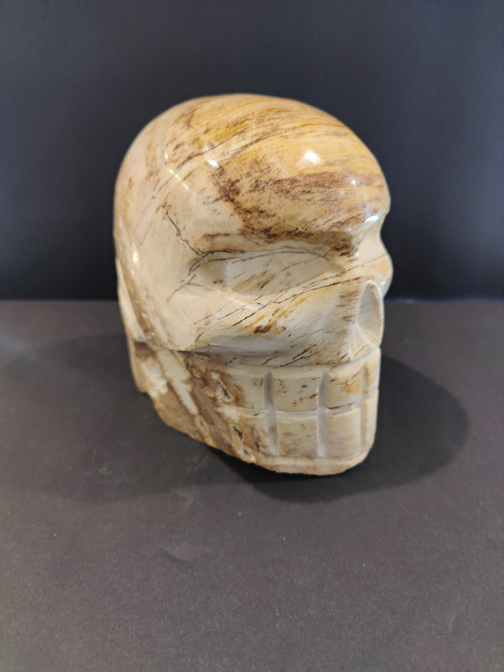 Petrified Wood Skull Sculpture by Rare Earth Gallery