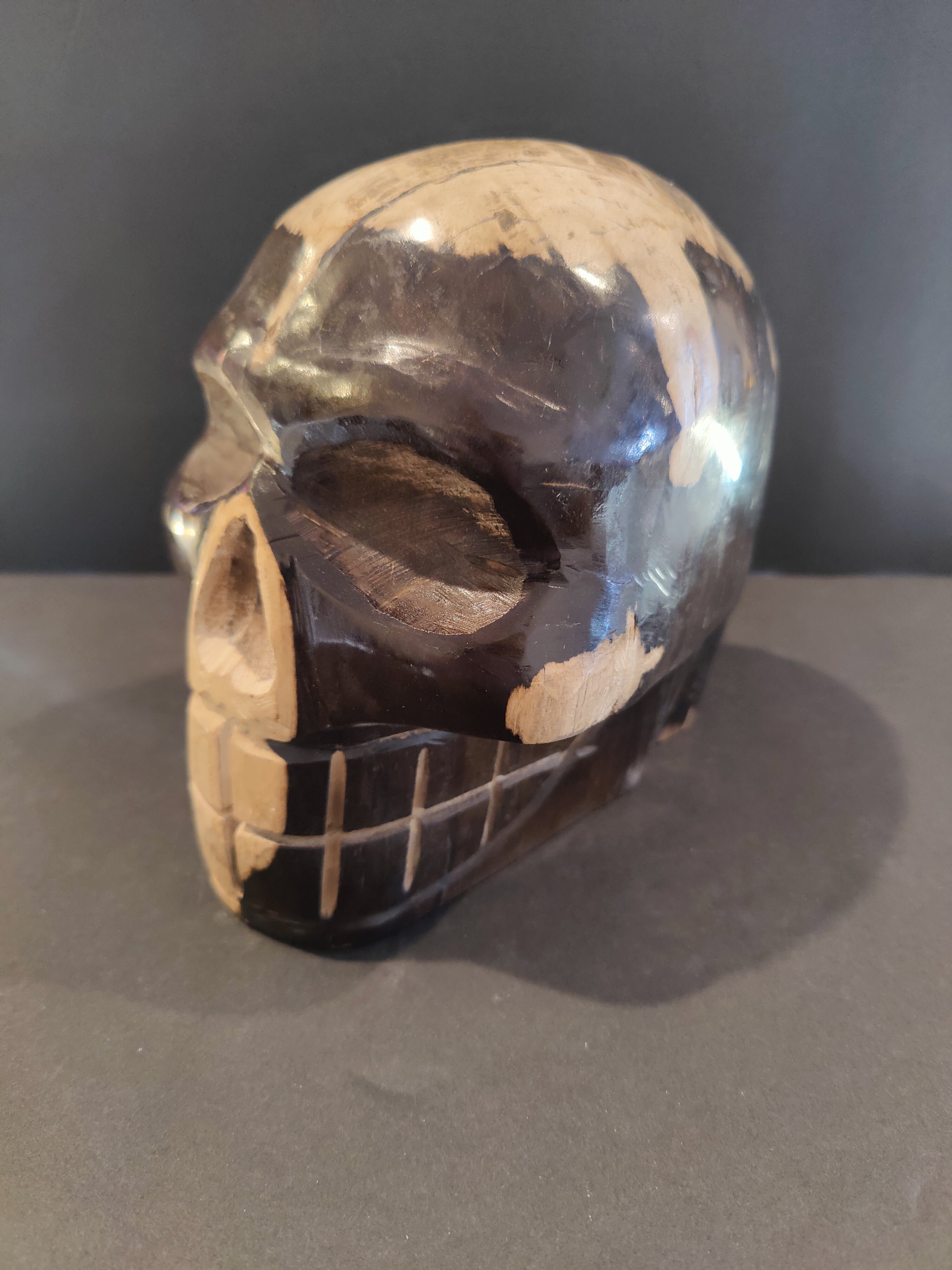 Petrified Wood Skull Sculpture by Rare Earth Gallery