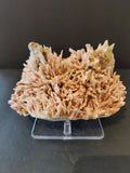 Red Mordenite with Stilbite Specimen 1,261g by Rare Earth Gallery
