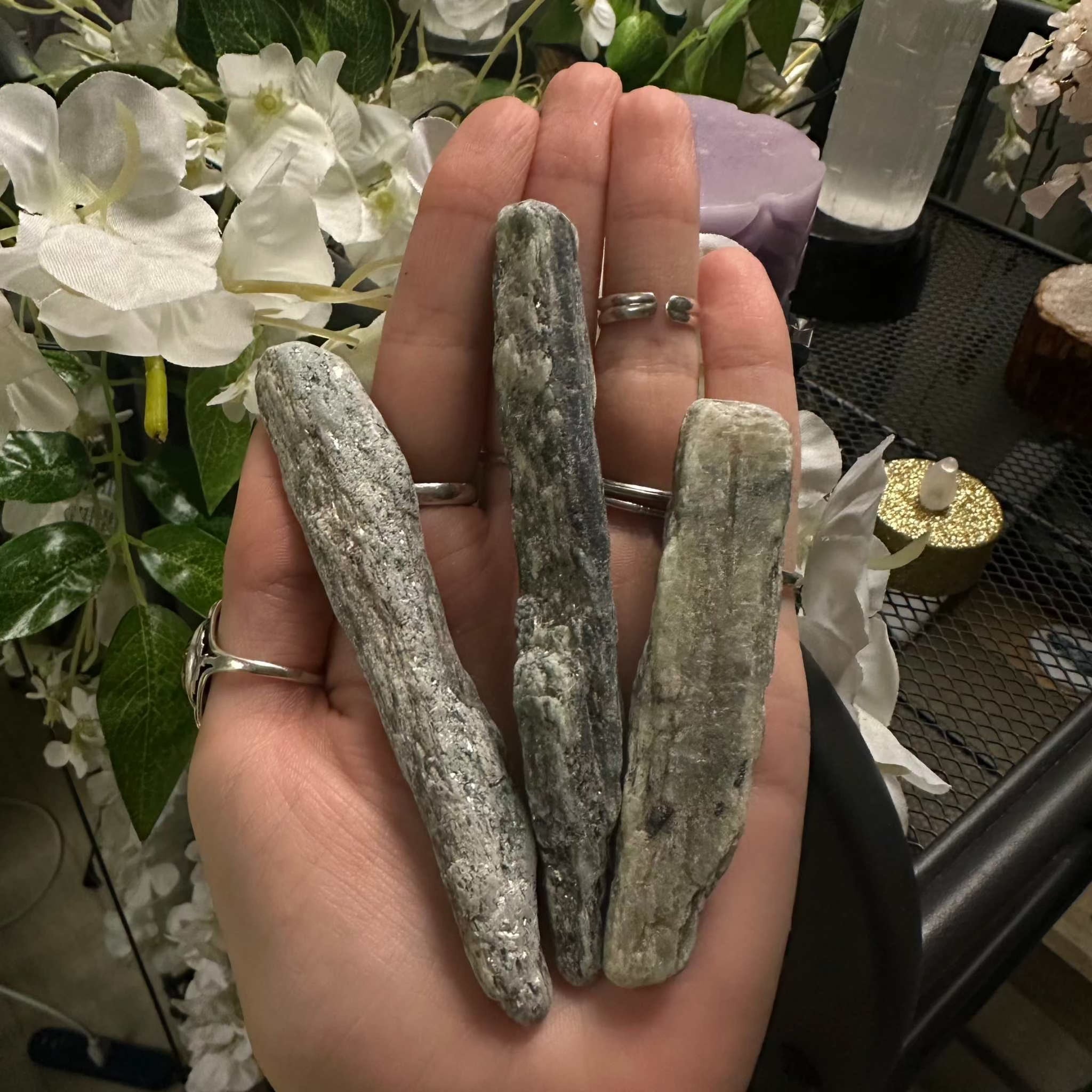Green Kyanite Shards - Large by Sacred Crystals