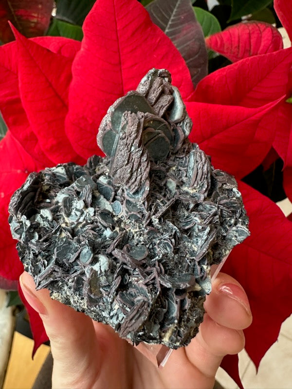 Hematite "Iron Rose" Crystal Cluster 220g by Rare Earth Gallery