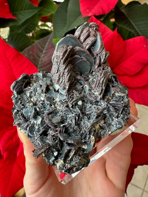 Hematite "Iron Rose" Crystal Cluster 220g by Rare Earth Gallery