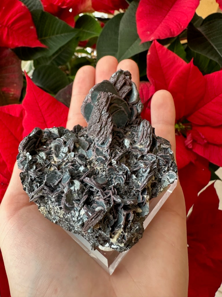 Hematite "Iron Rose" Crystal Cluster 220g by Rare Earth Gallery