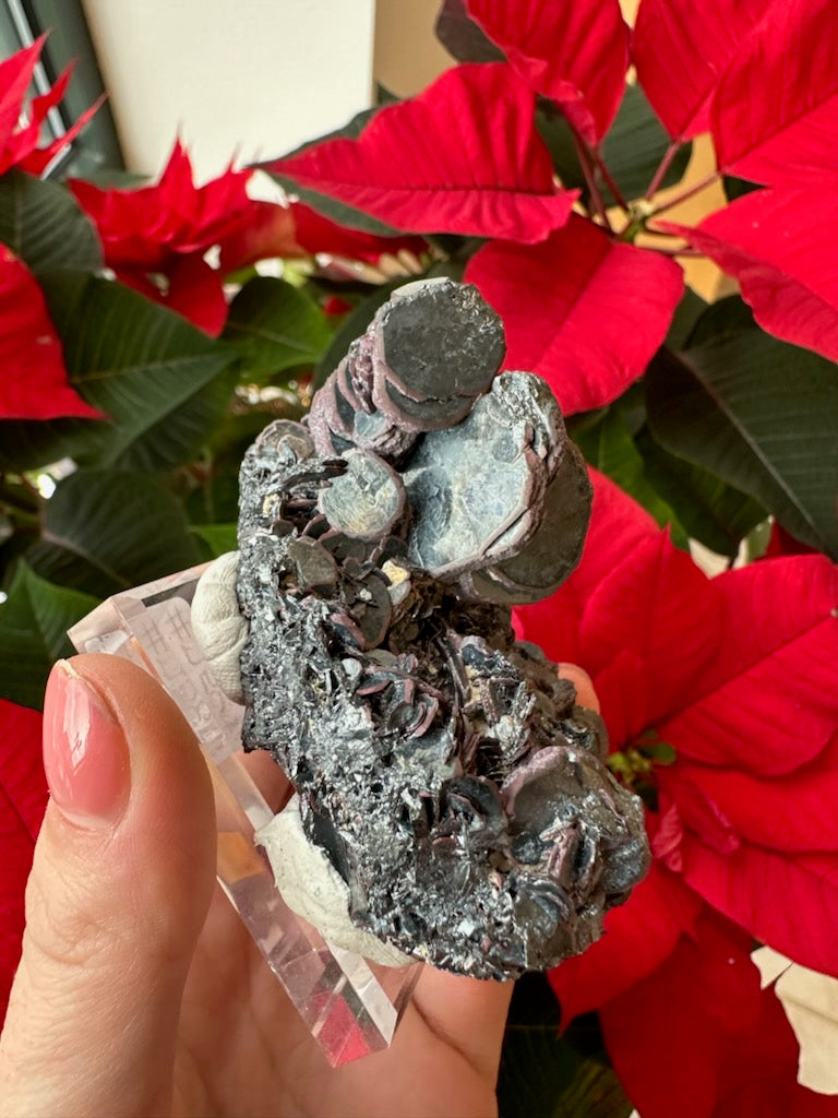 Hematite "Iron Rose" Crystal Cluster 220g by Rare Earth Gallery
