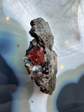 Rhodochrosite Gems on Matrix from Brazil by Rare Earth Gallery
