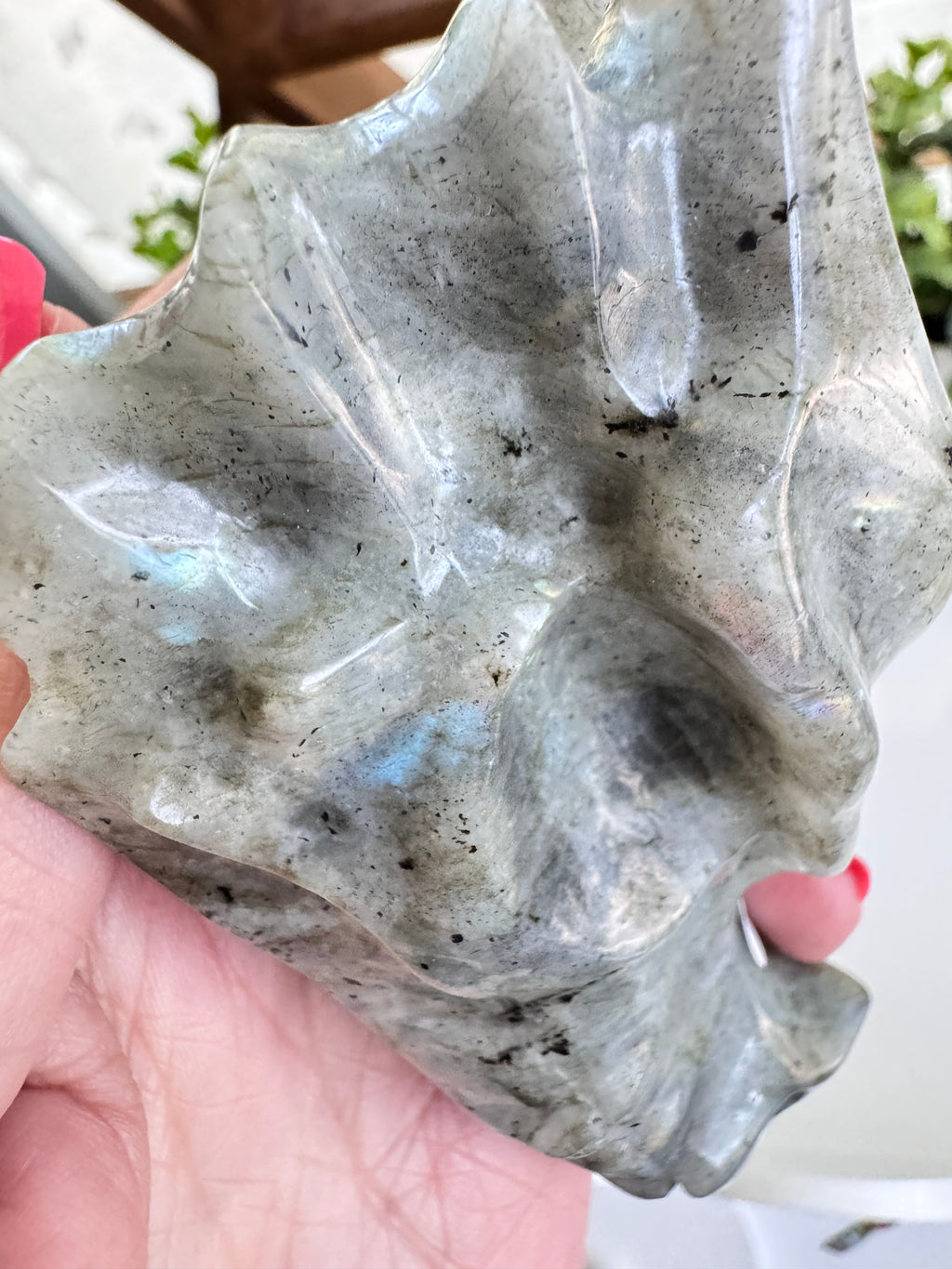 Labradorite Dragon Head (B) for Transitions, 4.25 Inch