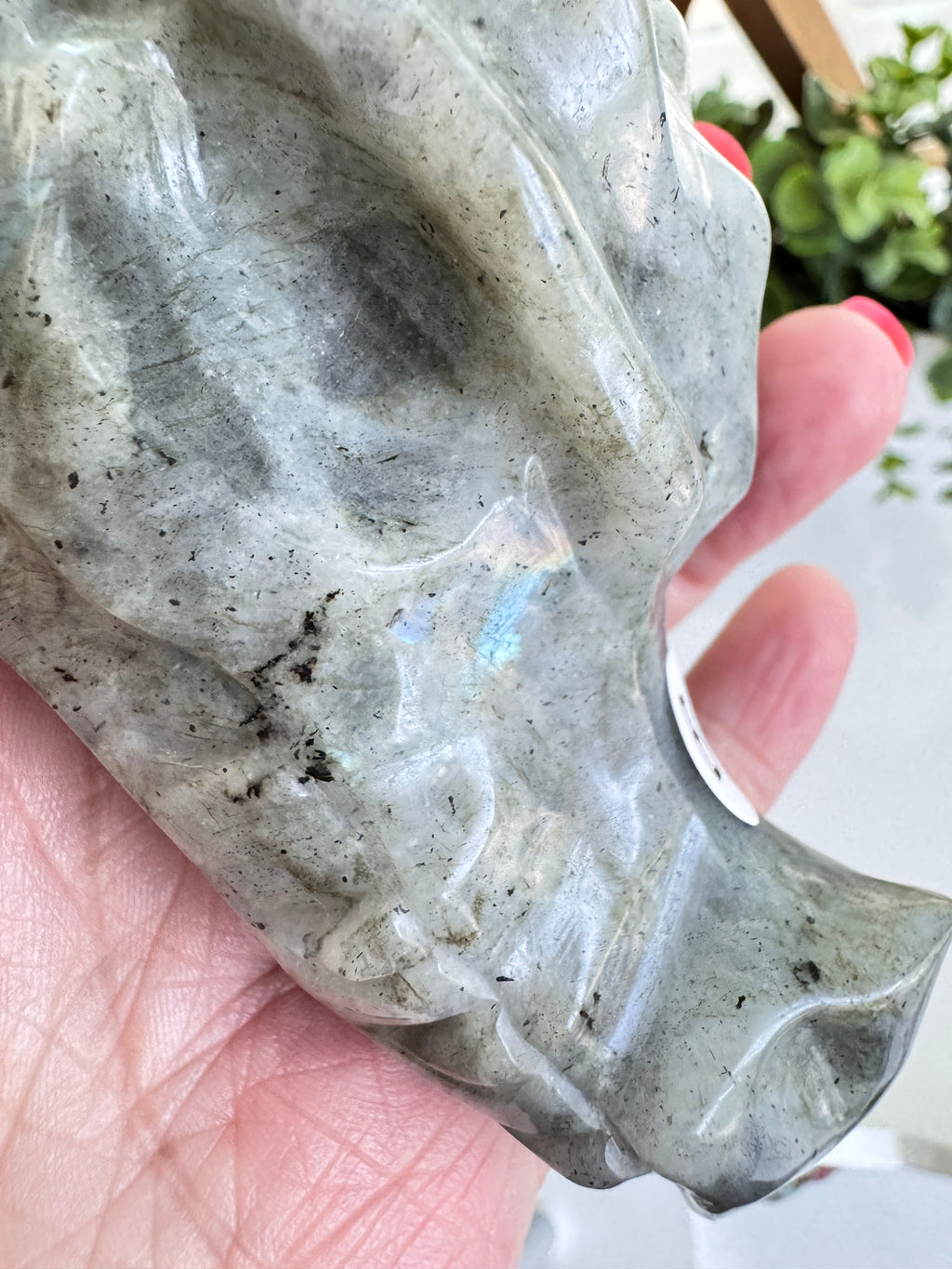 Labradorite Dragon Head (B) for Transitions, 4.25 Inch