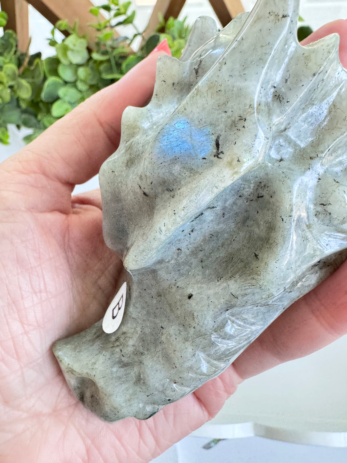 Labradorite Dragon Head (B) for Transitions, 4.25 Inch