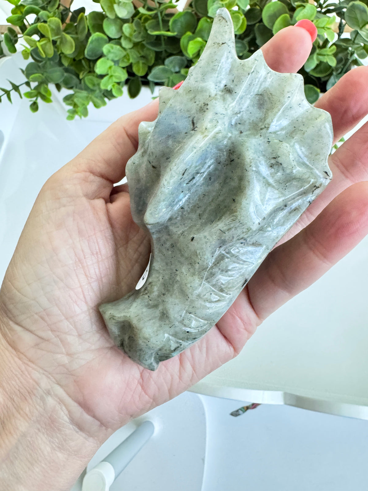 Labradorite Dragon Head (B) for Transitions, 4.25 Inch