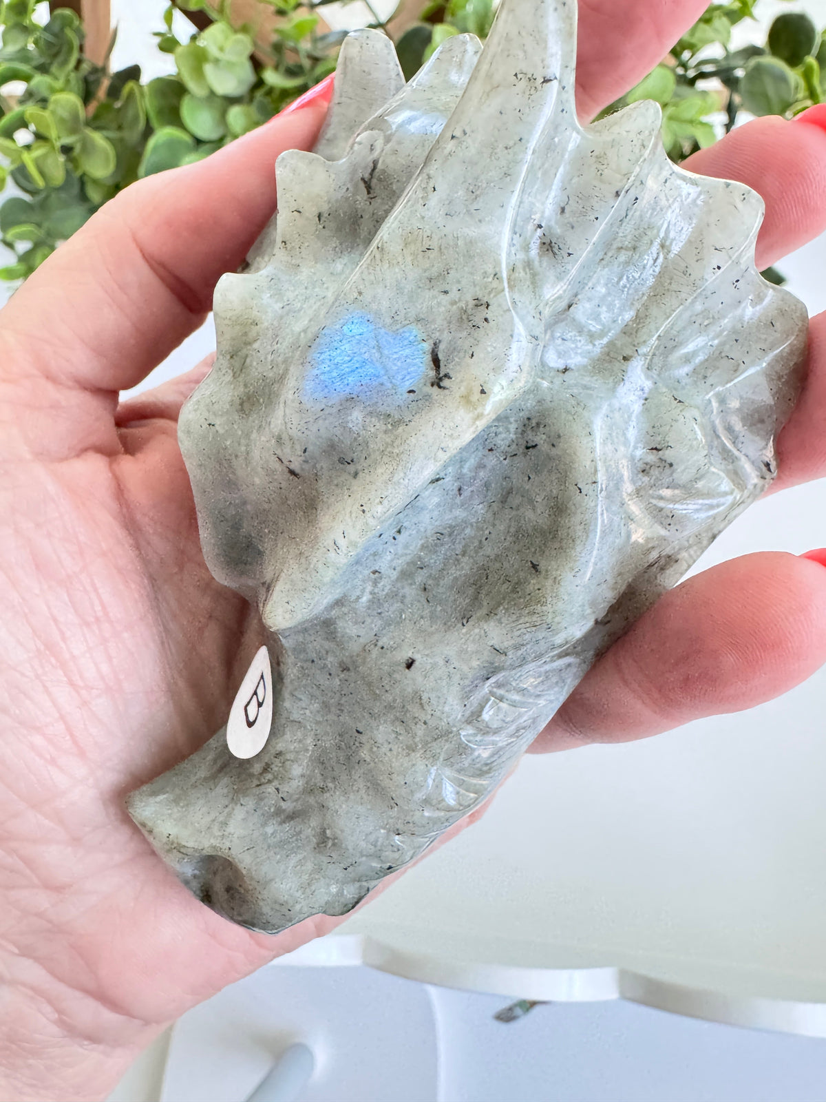 Labradorite Dragon Head (B) for Transitions, 4.25 Inch