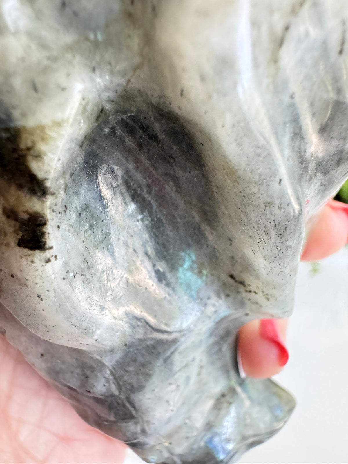 Labradorite Dragon Head (C) for Transitions, 4.25 Inch