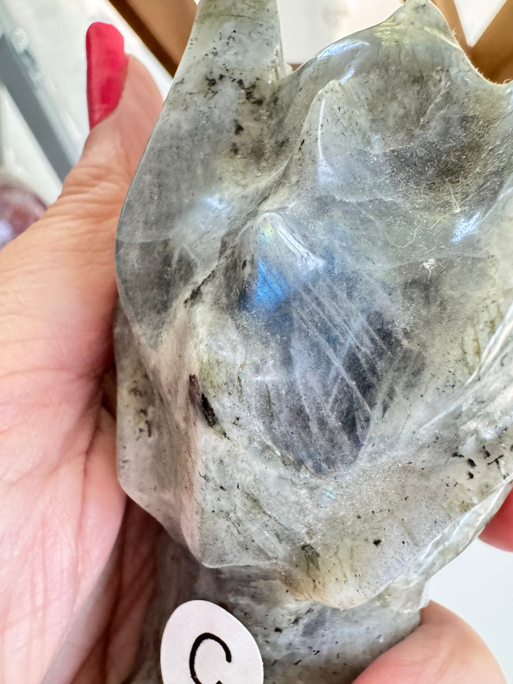 Labradorite Dragon Head (C) for Transitions, 4.25 Inch