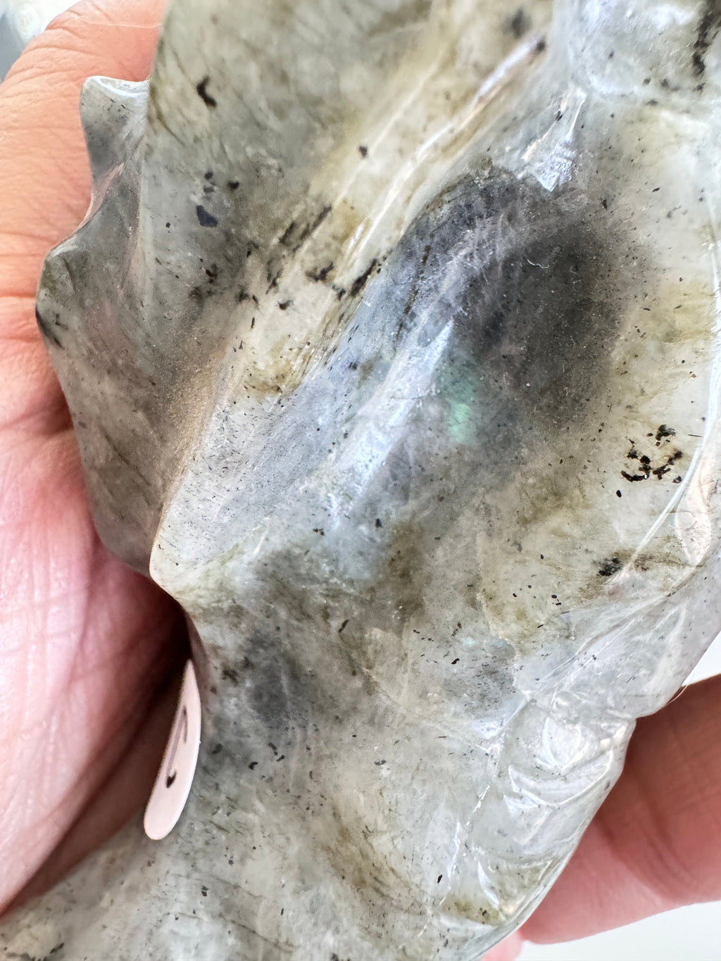 Labradorite Dragon Head (C) for Transitions, 4.25 Inch