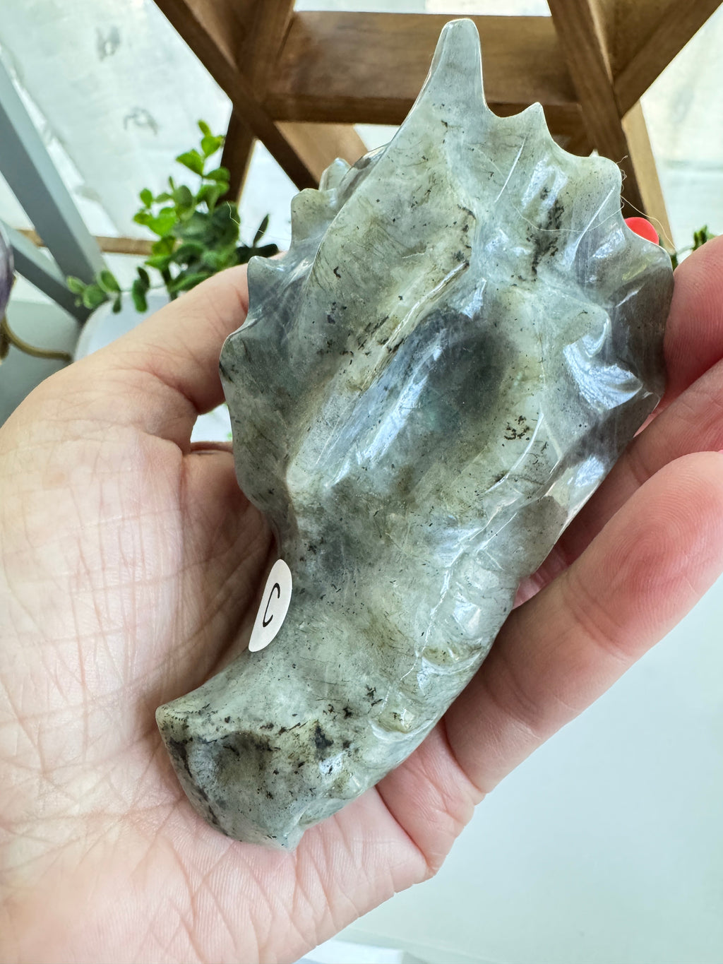 Labradorite Dragon Head (C) for Transitions, 4.25 Inch