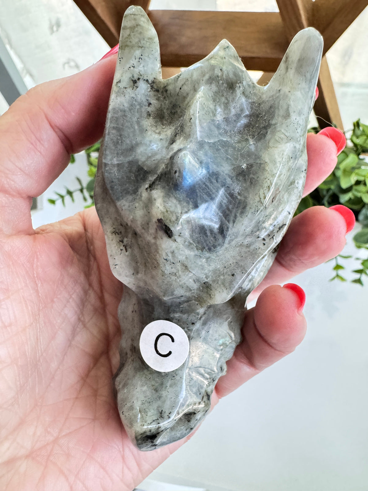 Labradorite Dragon Head (C) for Transitions, 4.25 Inch