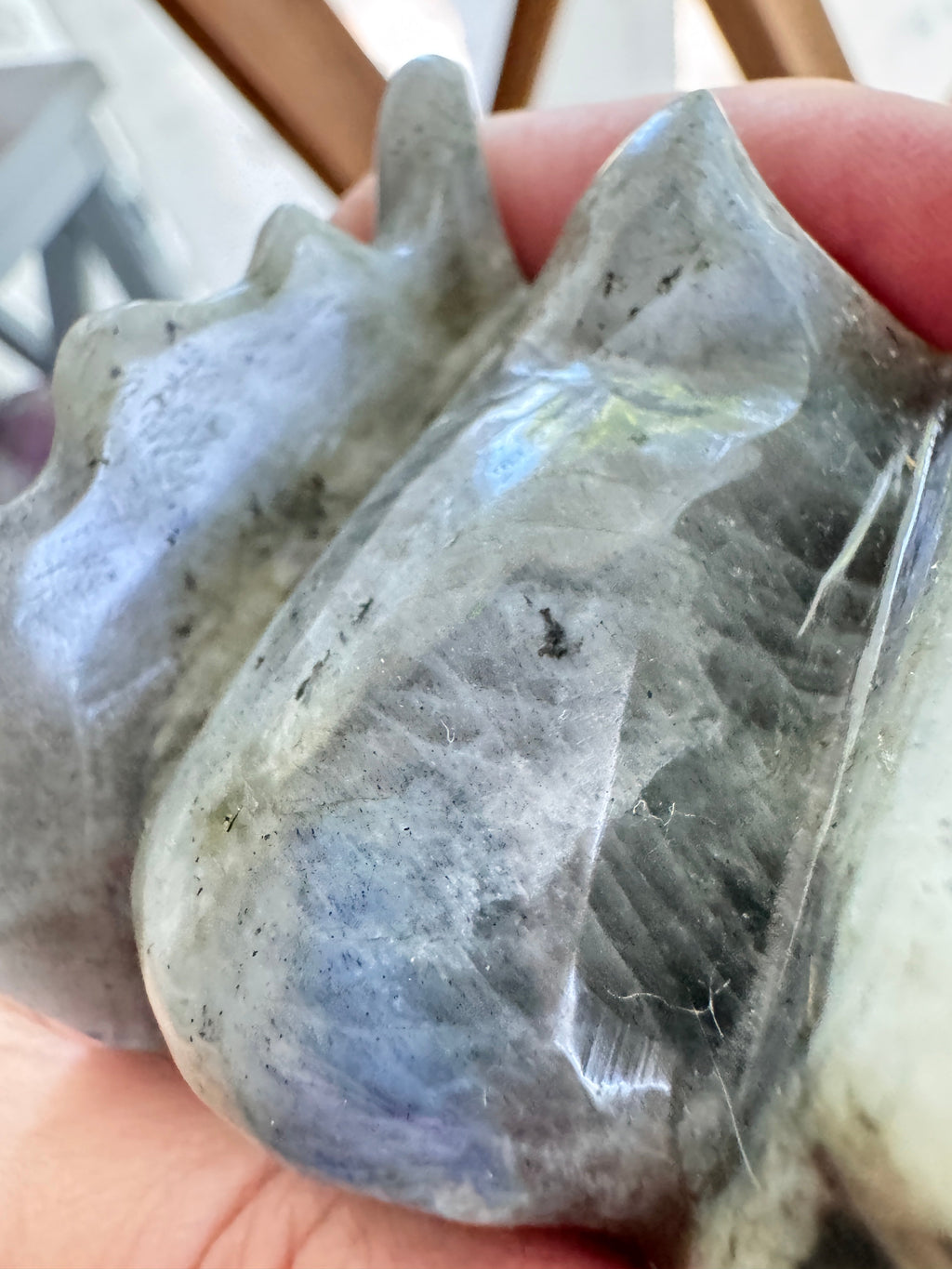 Labradorite Dragon Head (C) for Transitions, 4.25 Inch