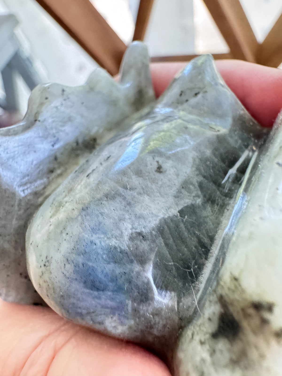 Labradorite Dragon Head (C) for Transitions, 4.25 Inch