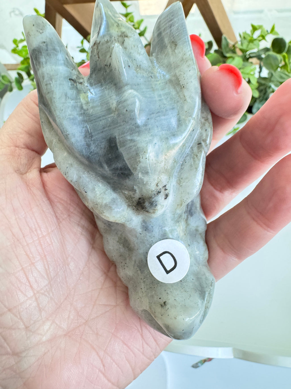 Labradorite Dragon Head (D) for Transitions, 4.25 Inch