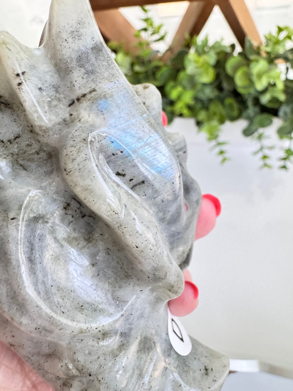 Labradorite Dragon Head (D) for Transitions, 4.25 Inch