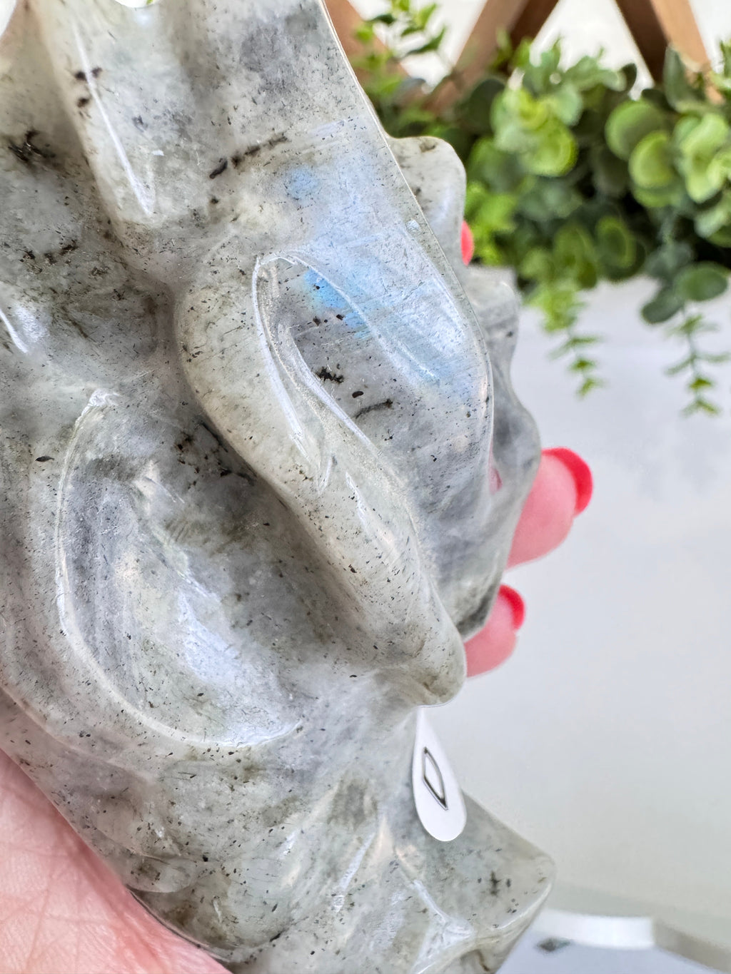 Labradorite Dragon Head (D) for Transitions, 4.25 Inch