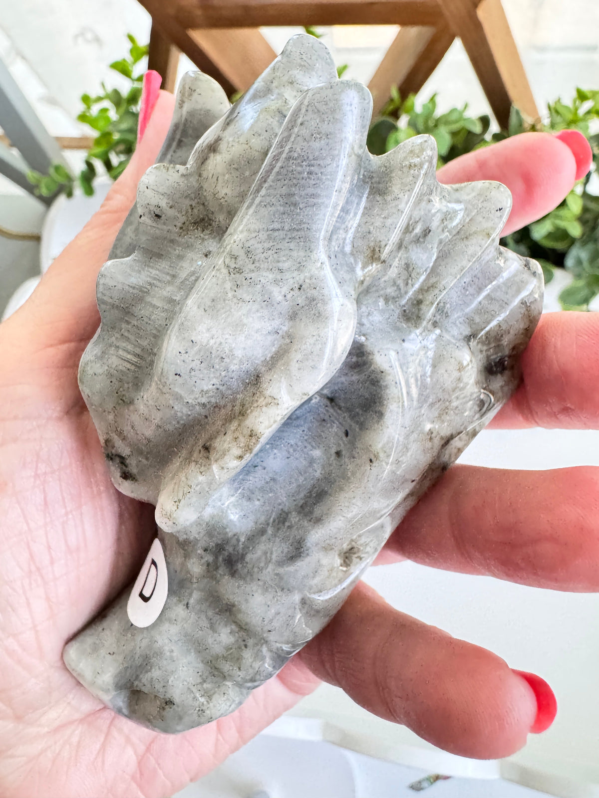 Labradorite Dragon Head (D) for Transitions, 4.25 Inch