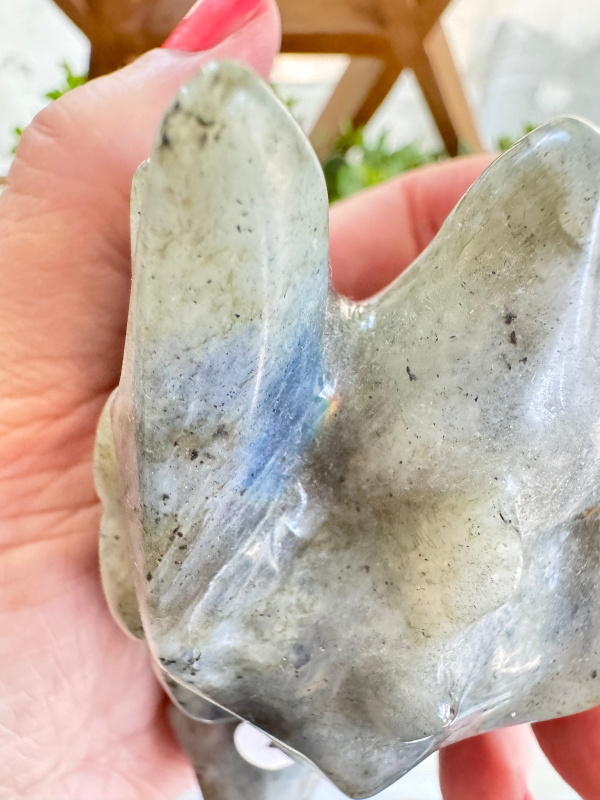 Labradorite Dragon Head (E) for Transitions, 4.25 Inch