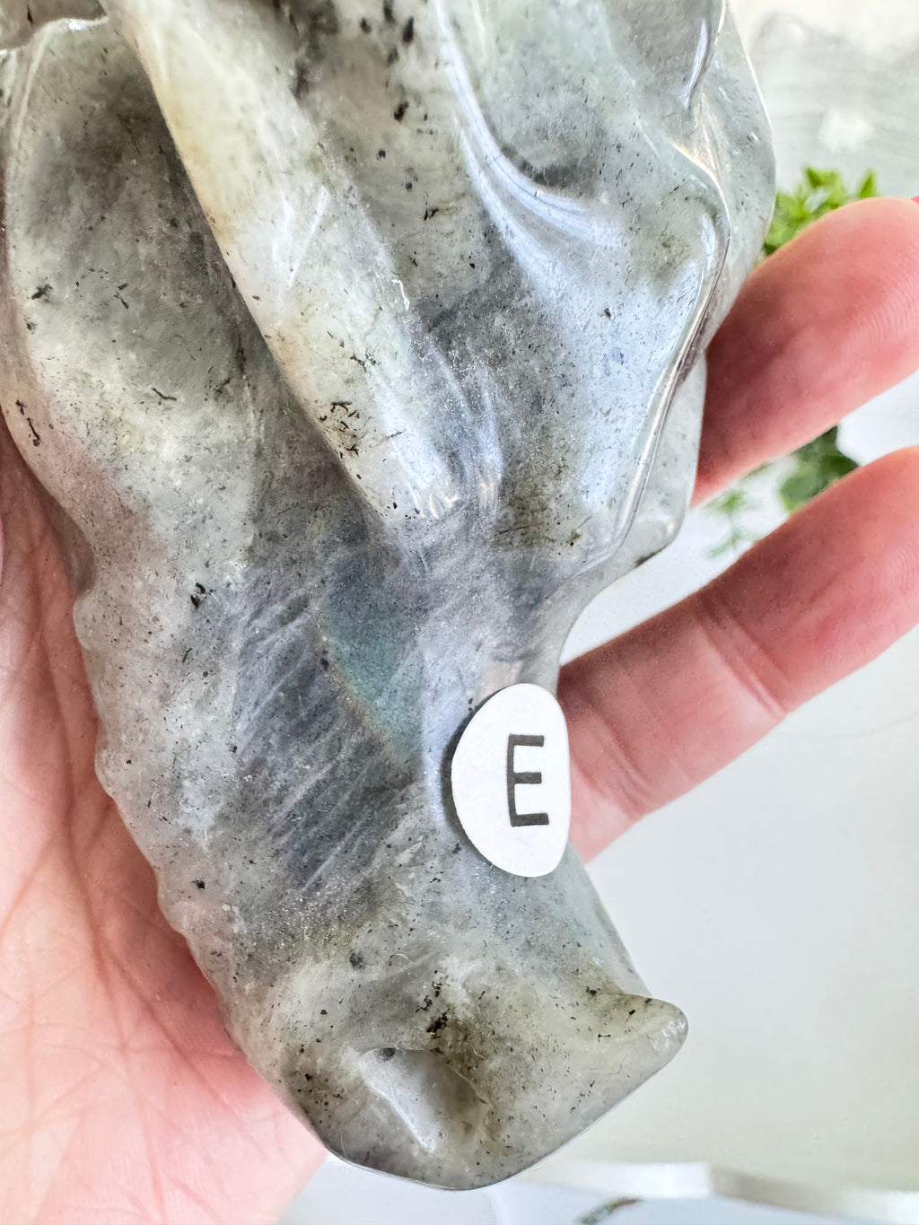 Labradorite Dragon Head (E) for Transitions, 4.25 Inch