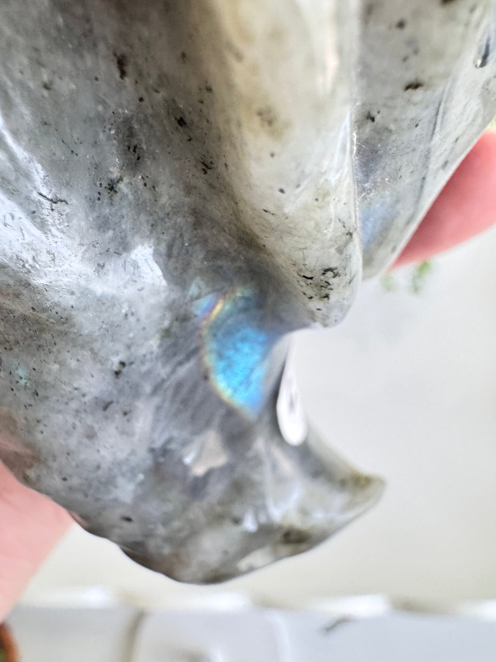 Labradorite Dragon Head (E) for Transitions, 4.25 Inch