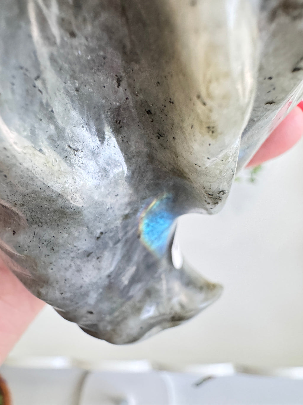 Labradorite Dragon Head (E) for Transitions, 4.25 Inch