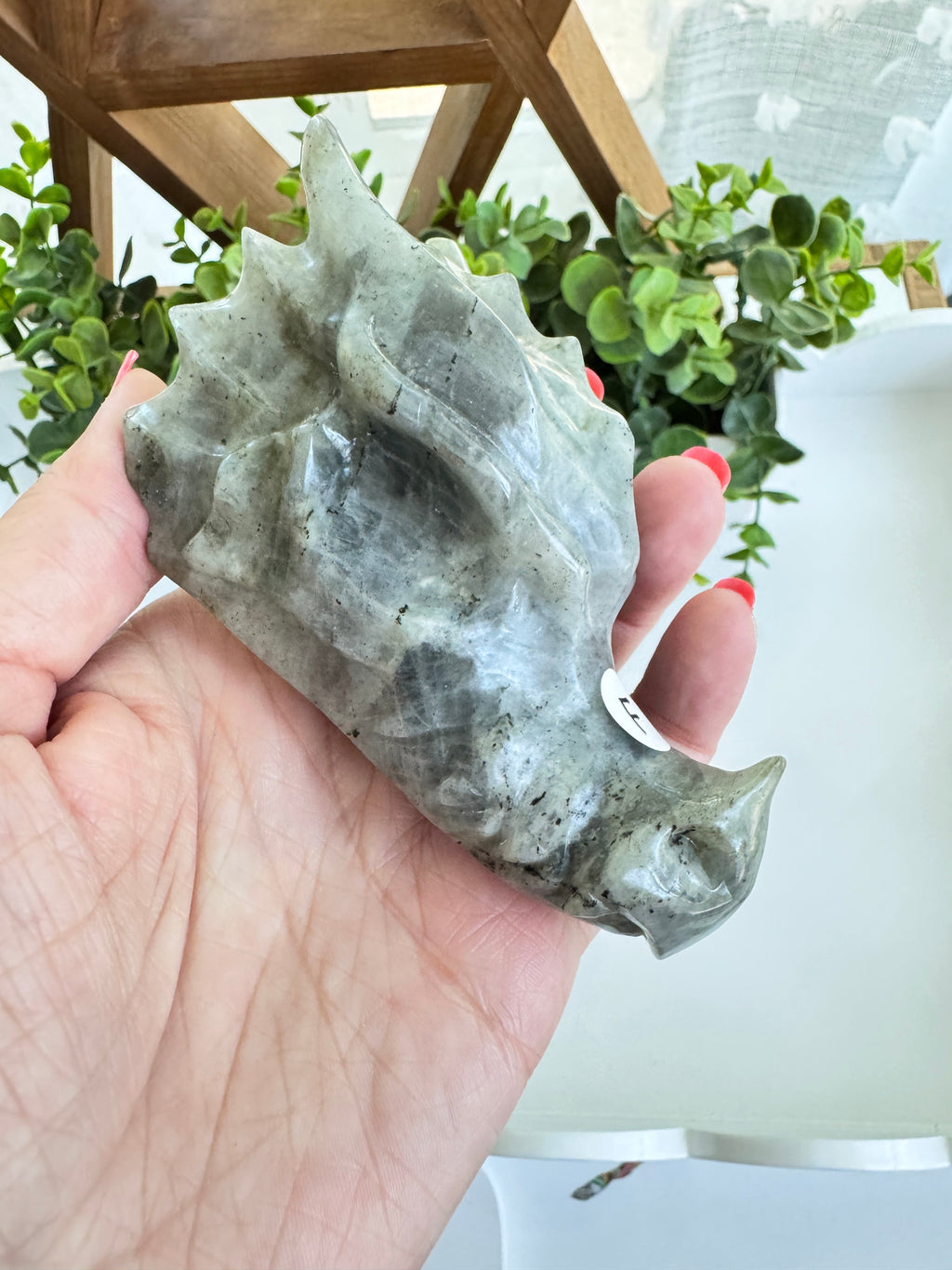 Labradorite Dragon Head (F) for Transitions, 4.25 Inch