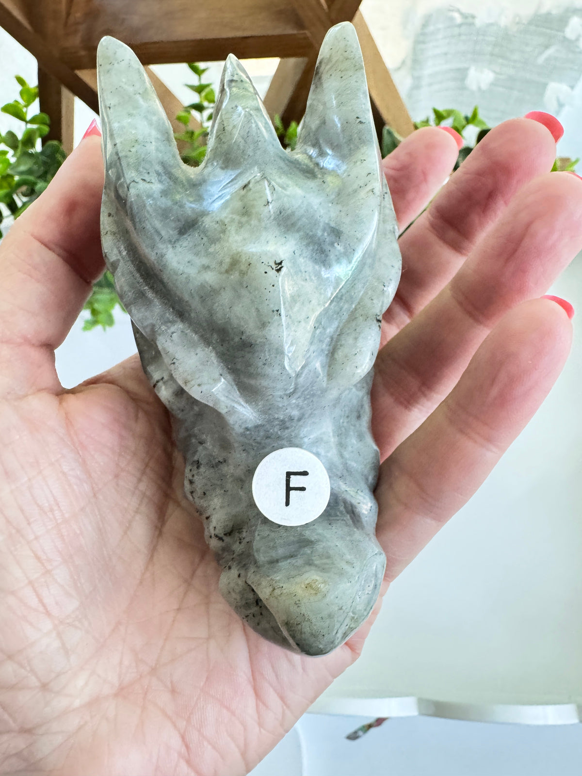 Labradorite Dragon Head (F) for Transitions, 4.25 Inch