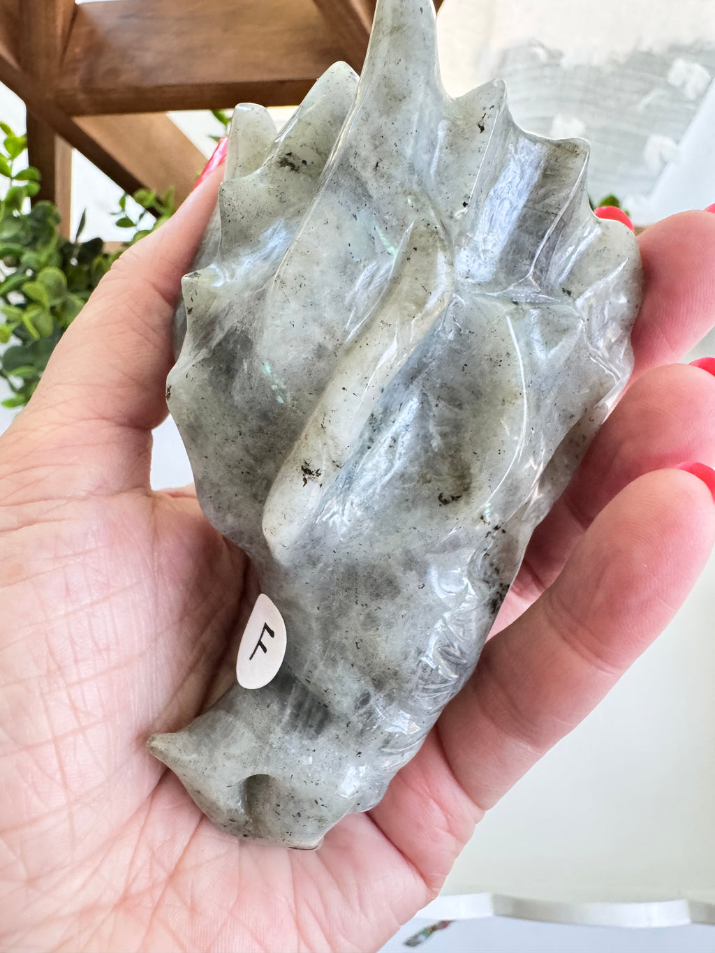 Labradorite Dragon Head (F) for Transitions, 4.25 Inch