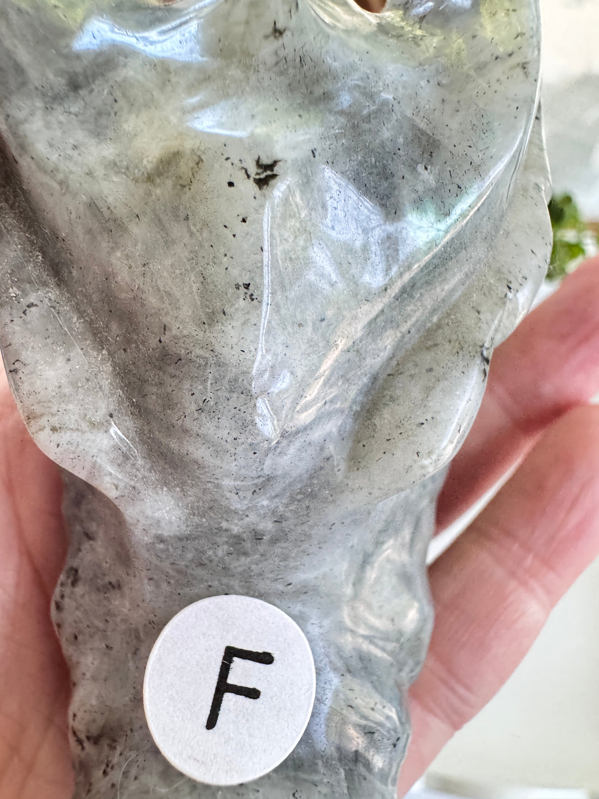 Labradorite Dragon Head (F) for Transitions, 4.25 Inch