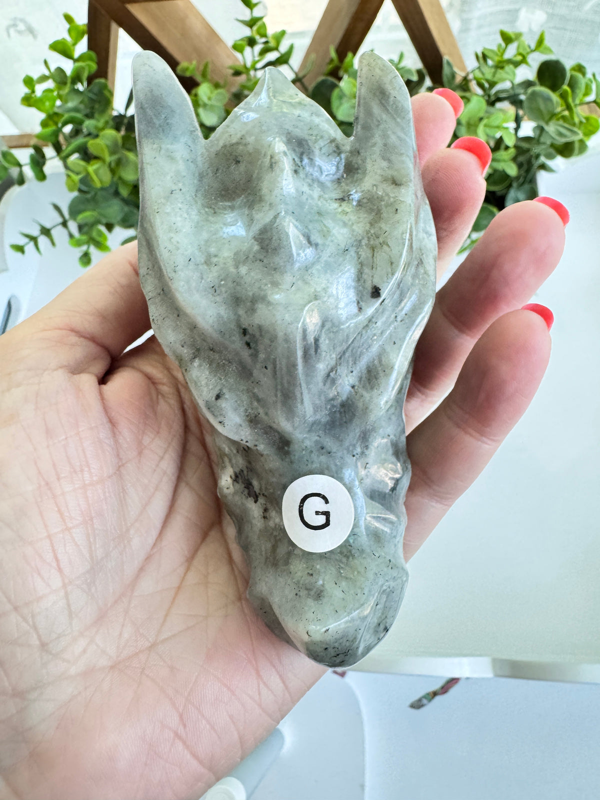 Labradorite Dragon Head (G) for Transitions, 4.25 Inch