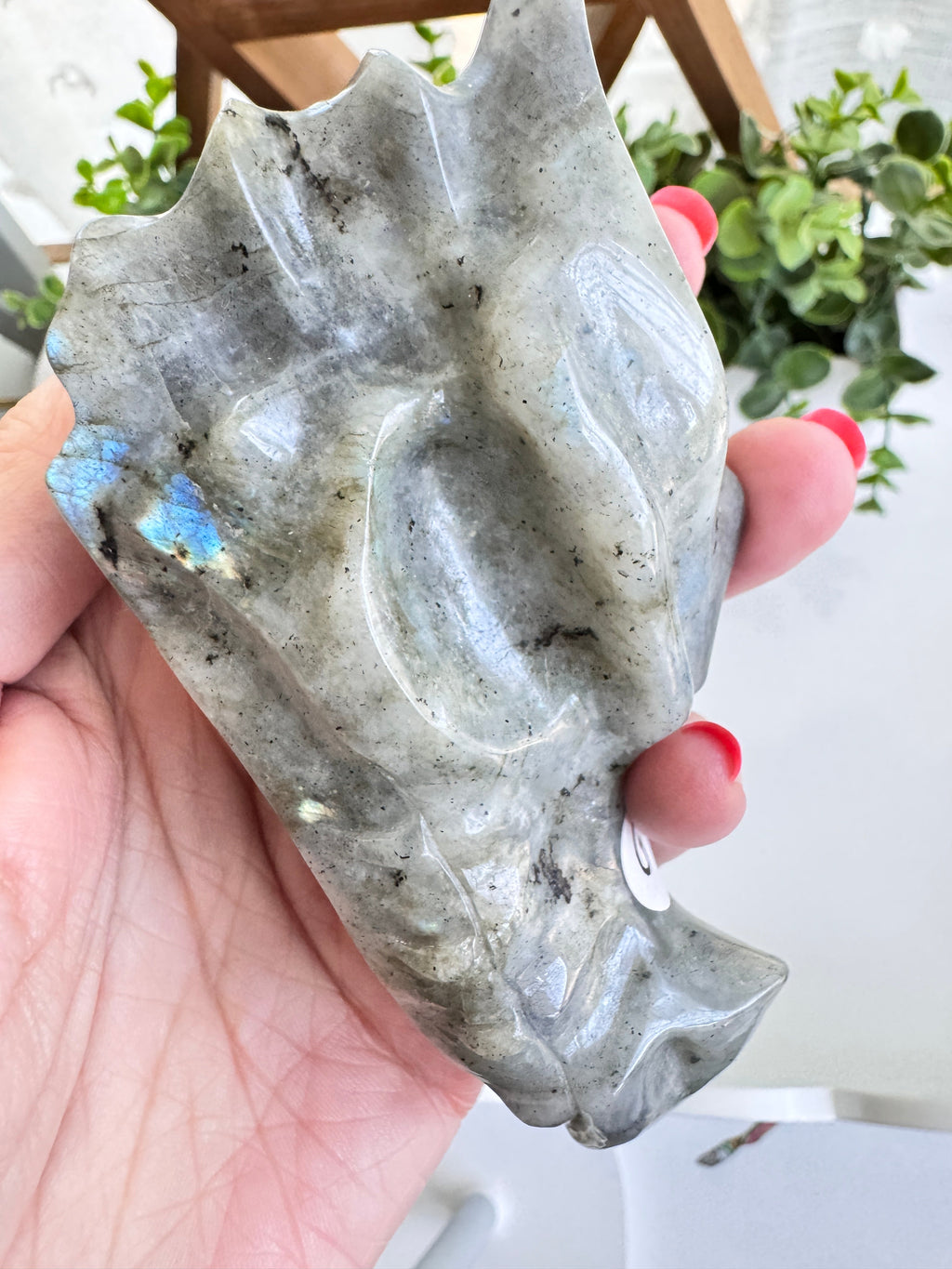 Labradorite Dragon Head (G) for Transitions, 4.25 Inch