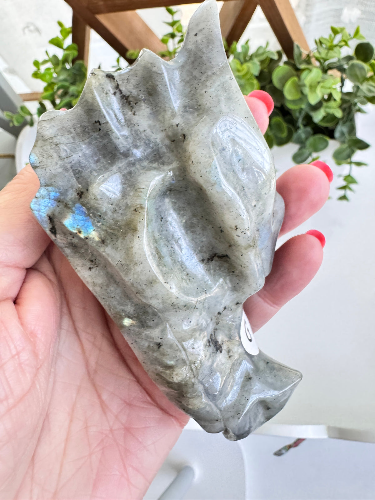 Labradorite Dragon Head (G) for Transitions, 4.25 Inch