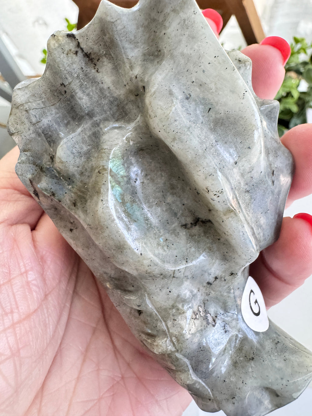 Labradorite Dragon Head (G) for Transitions, 4.25 Inch