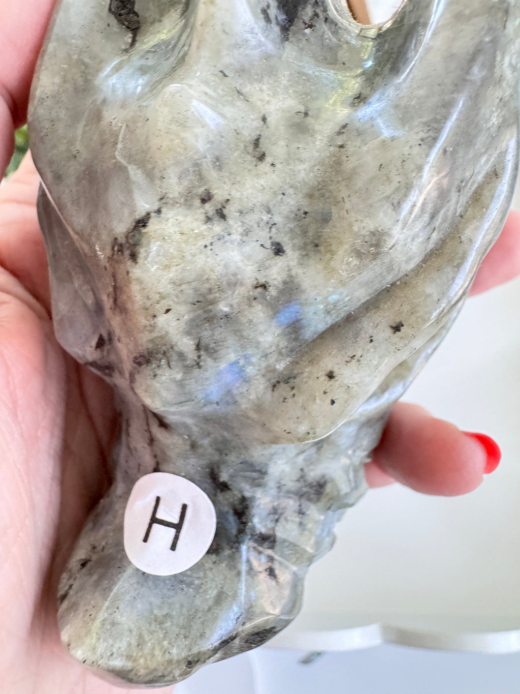Labradorite Dragon Head (H) for Transitions, 4.25 Inch