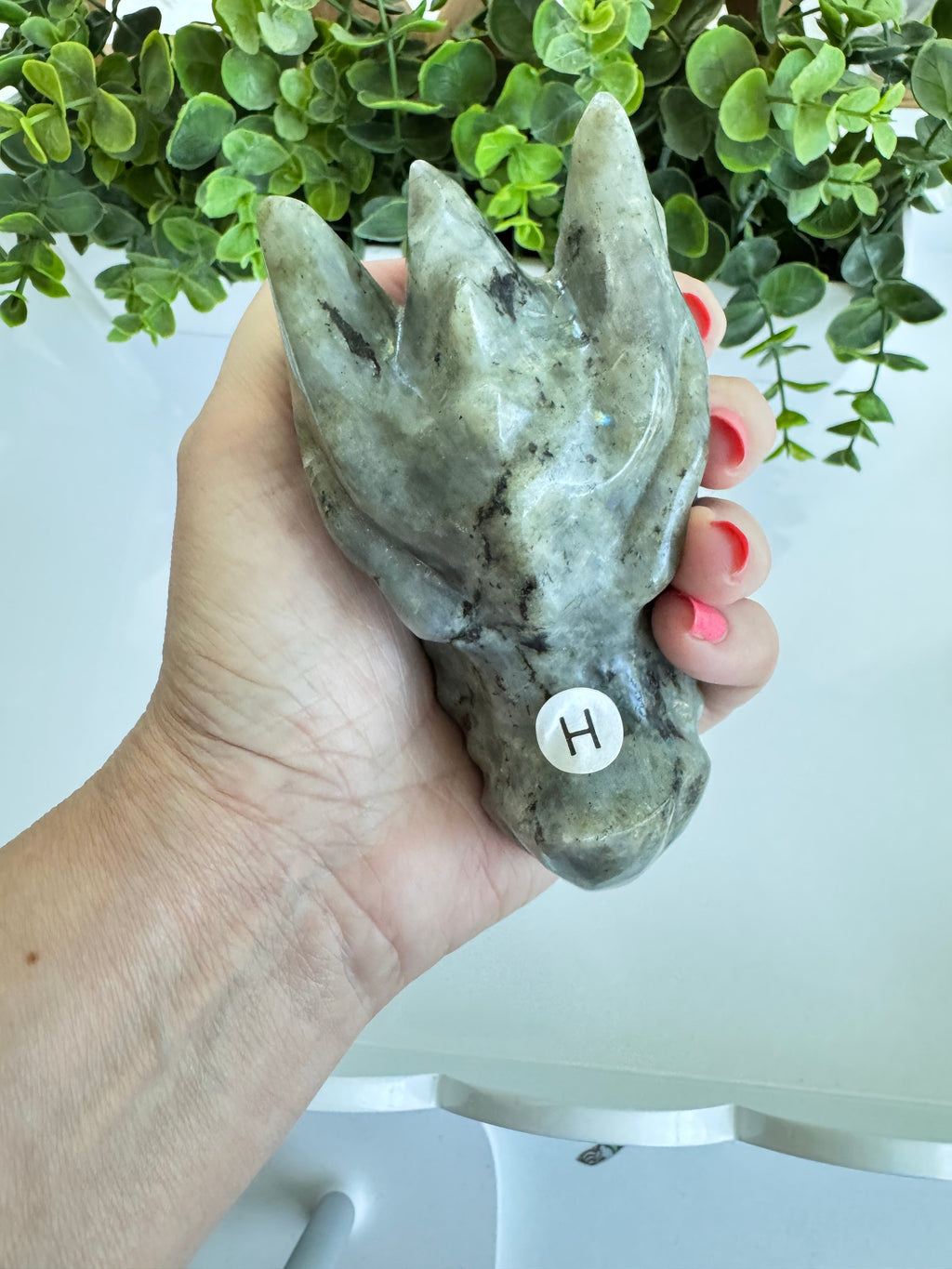 Labradorite Dragon Head (H) for Transitions, 4.25 Inch