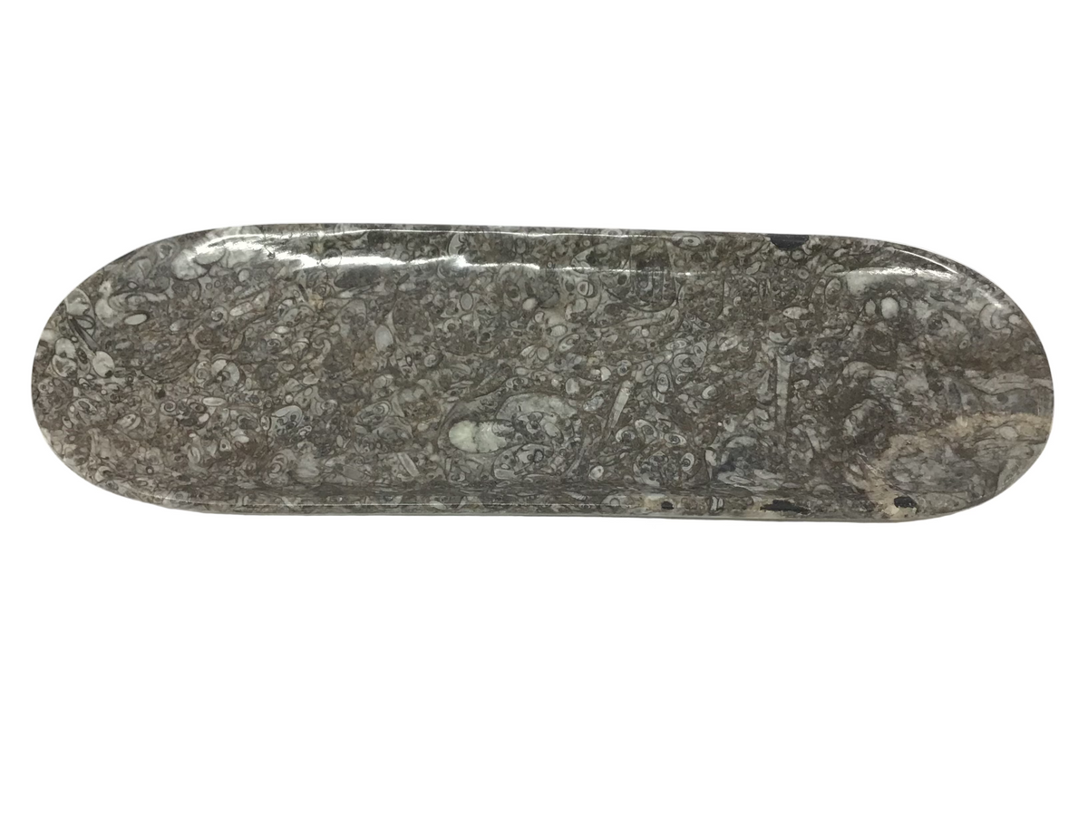 Orthoceras Fossil Long Oval Tray Dish