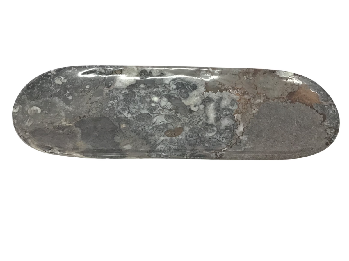 Orthoceras Fossil Long Oval Tray Dish