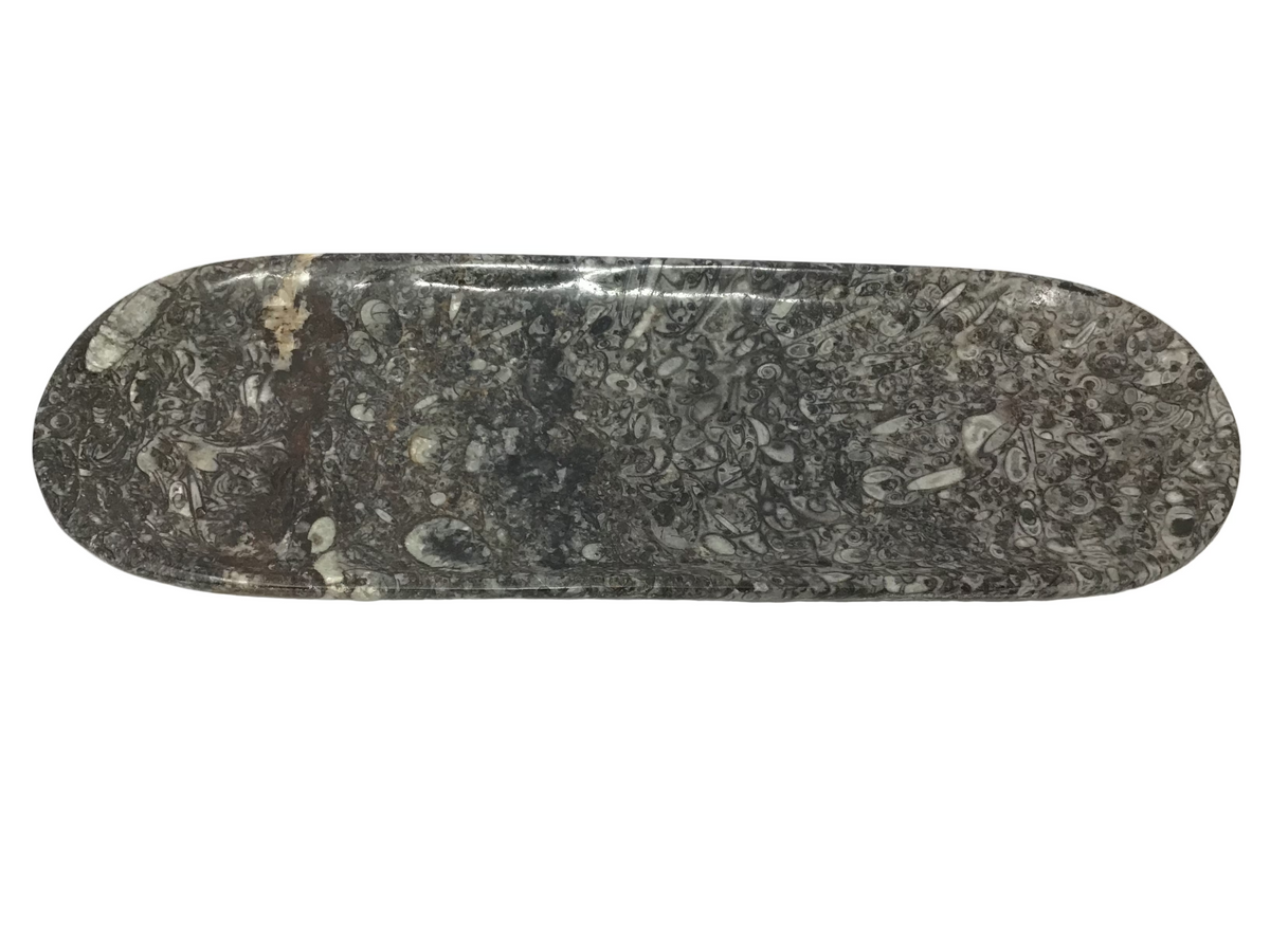 Orthoceras Fossil Long Oval Tray Dish