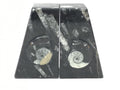 Ammonite and Orthoceras Fossil Bookends in Black Seabed - Trapezoid