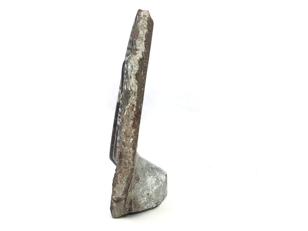 Orthoceras and Ammonite Fossil Plaque with Base from Morocco - Small