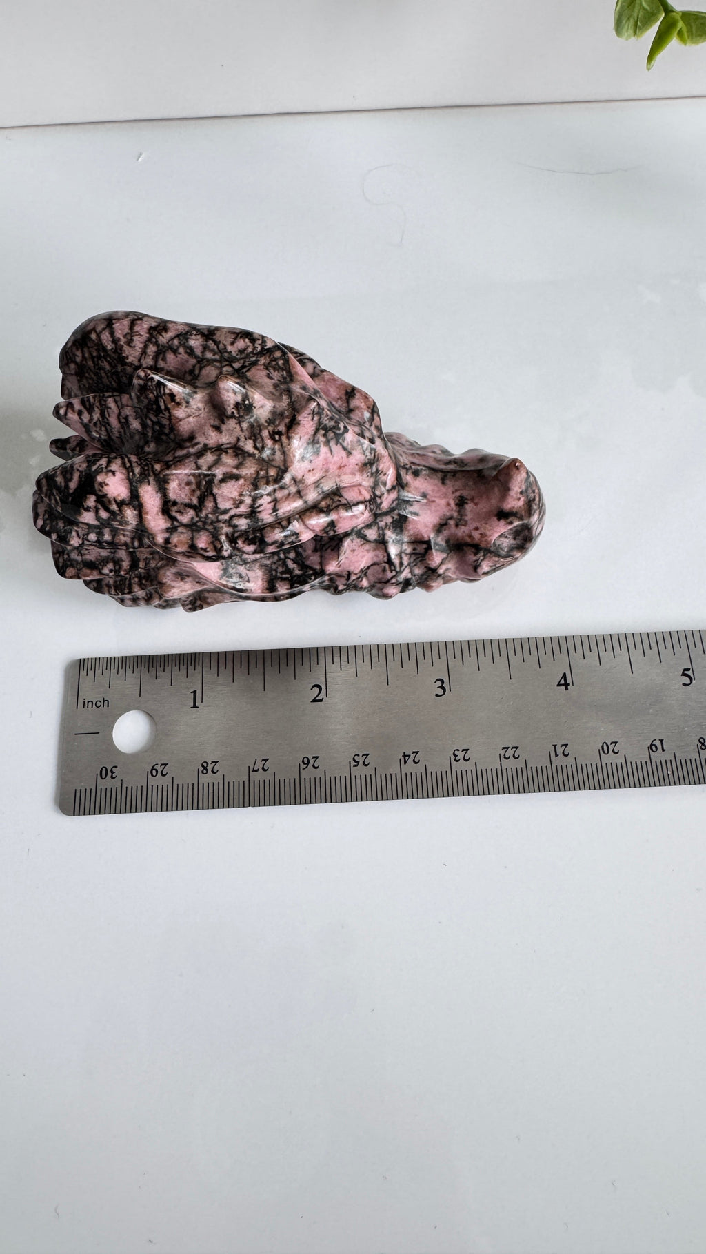 Rhodonite Dragon Head, 4 inch